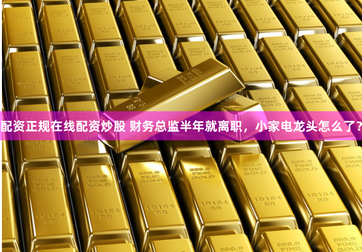 配资正规在线配资炒股 财务总监半年就离职，小家电龙头怎么了？